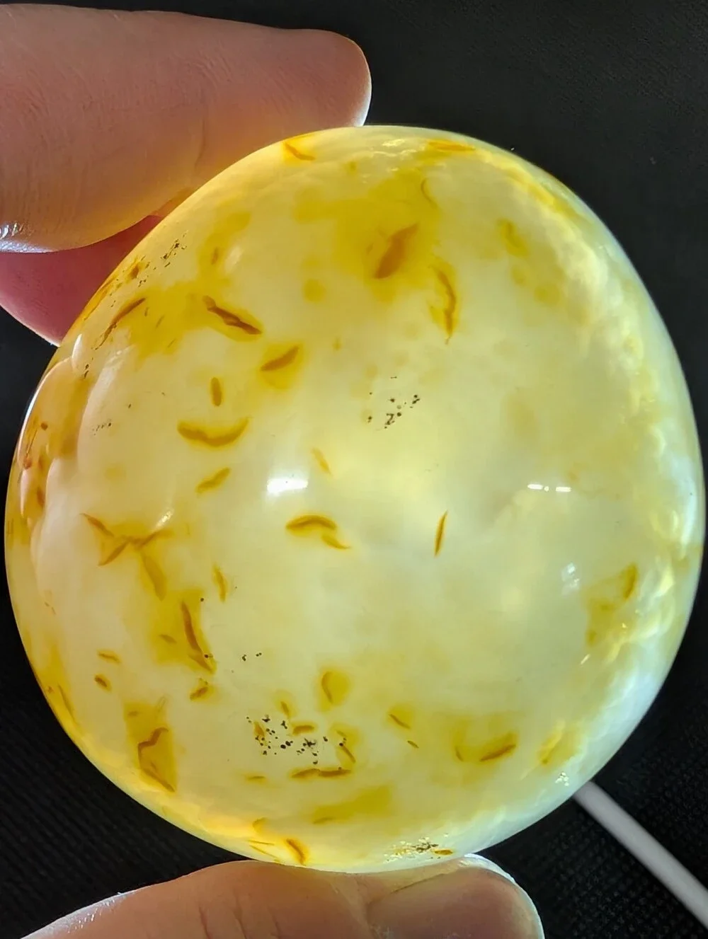 Brazilian Agate Geode Half